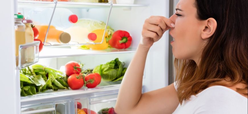 Чем убрать запах с холодильника - профилактика и способы устранения в домашних условиях